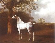 Agasse, Jacques-Laurent White Horse in Pasture China oil painting reproduction